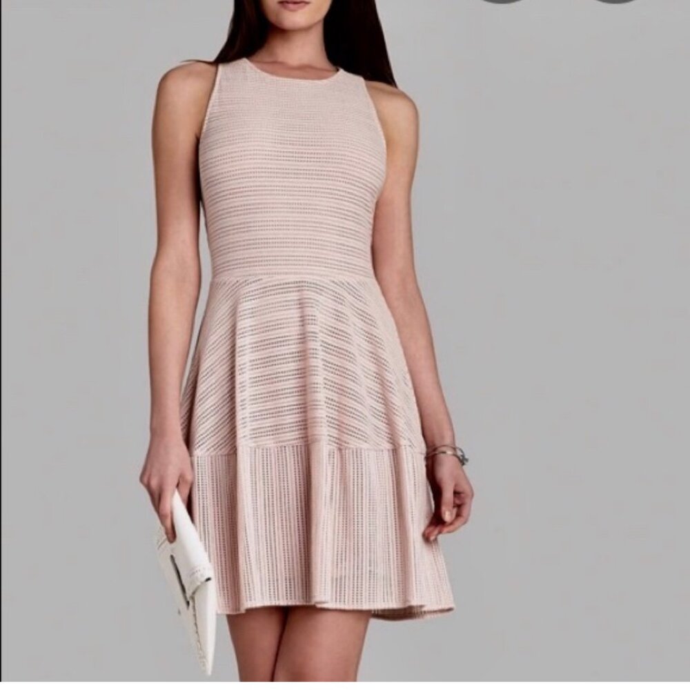 BCBG Cassandra Dusty Pink Eyelet Dress